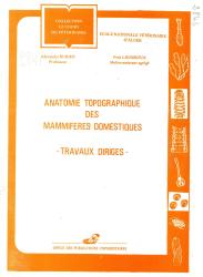 Anatomie topographique des mammiferes domestiques