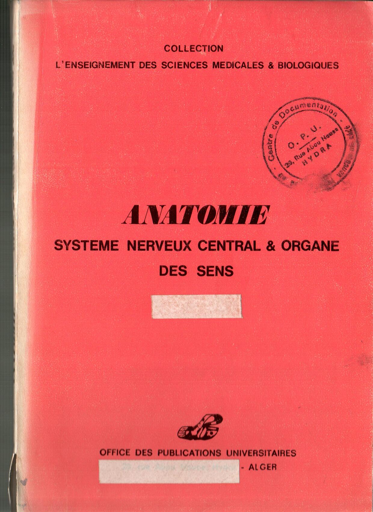 Anatomie : système nerveux central et organe des sens